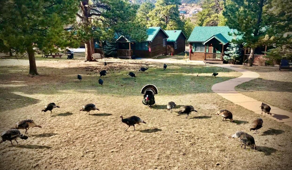 Mountain Shadows Resort Estes Park Exterior foto