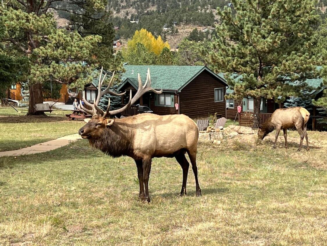 Mountain Shadows Resort Estes Park Exterior foto